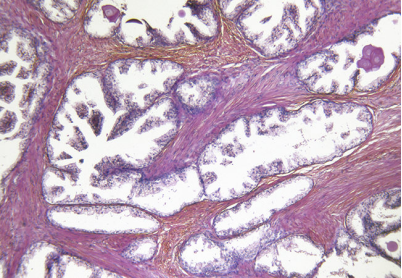 1673590730112982.png 微信圖片_20230113141842.png