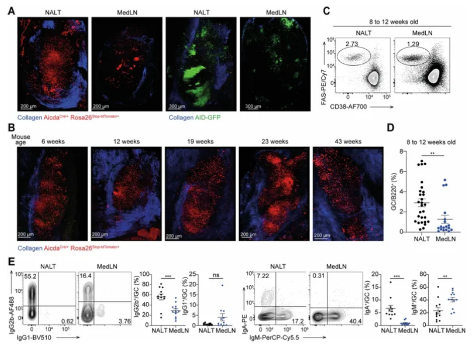 1723015390211311.png image.png