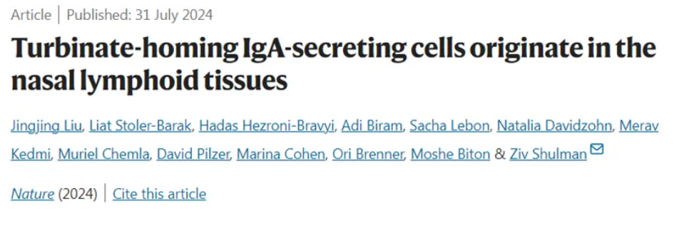 1723015415185125.png image.png