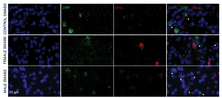 1725327938973077.png 640.png